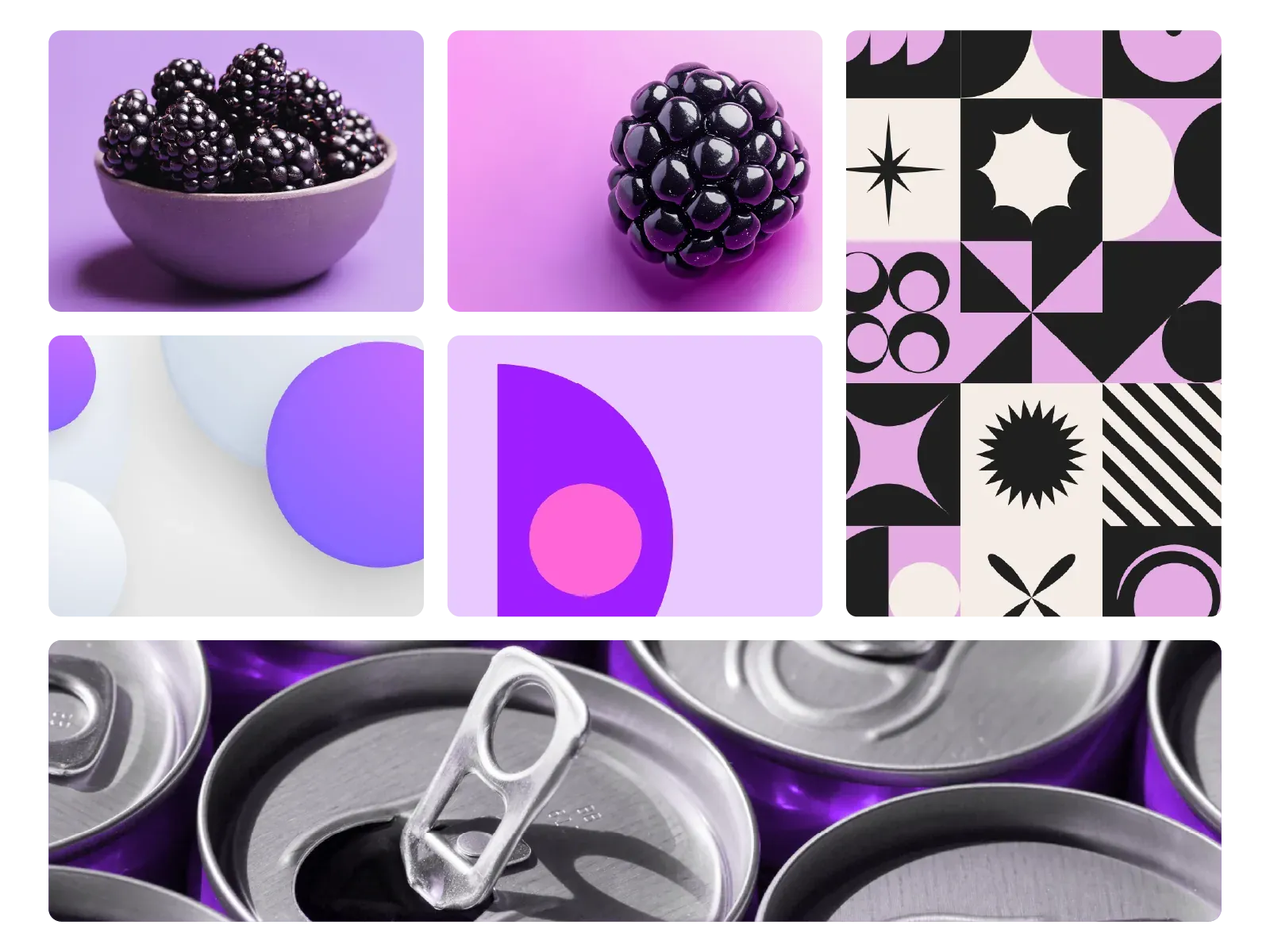 Brand mood board exploring color, type, and direction for a small business identity