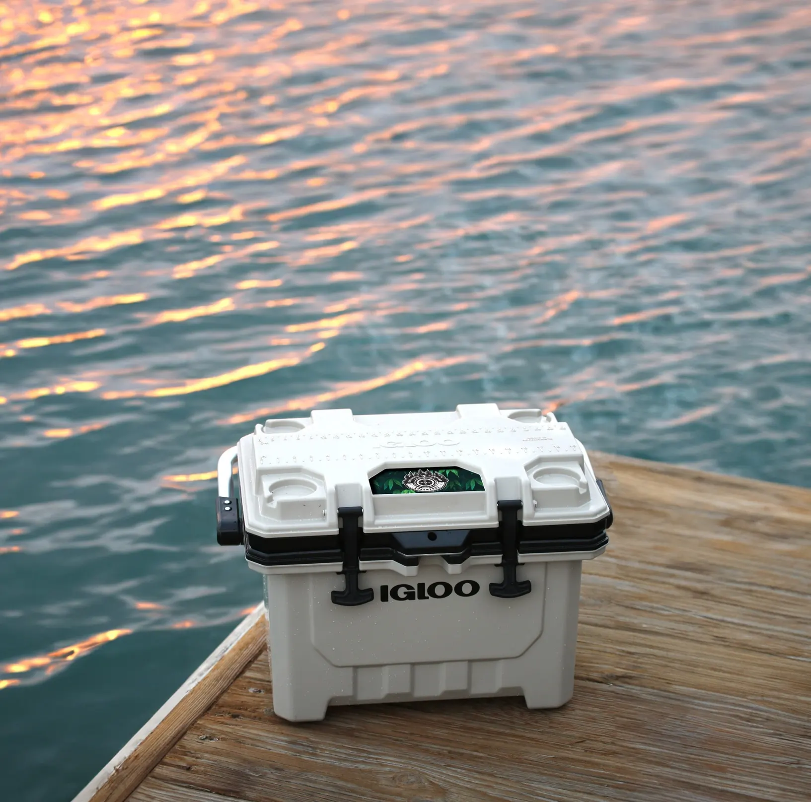 Coolers