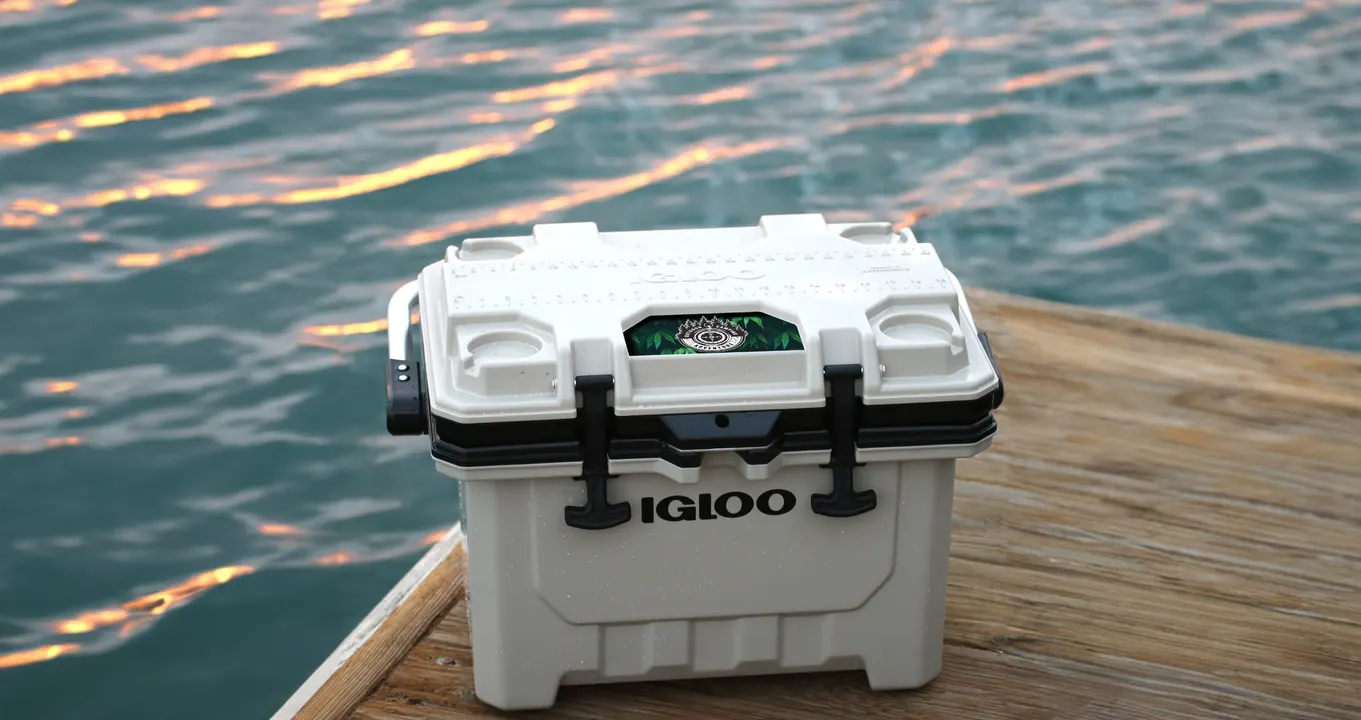 IMX 24 Quart 35⁠-⁠Can Cooler