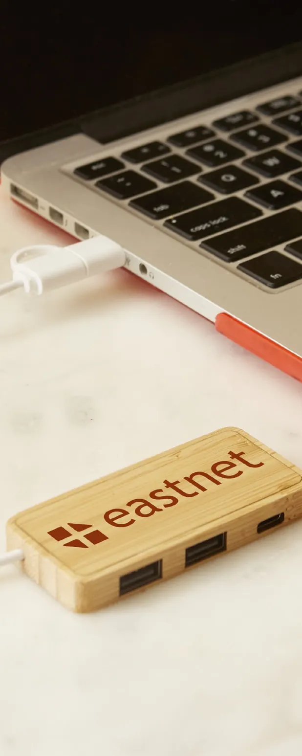 Douglas Dual USB Hub