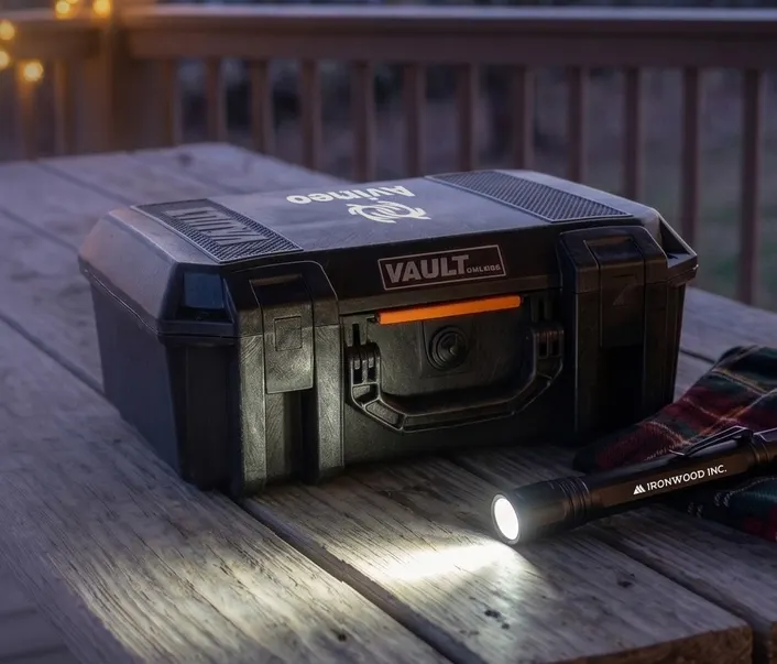 V300 Vault Case